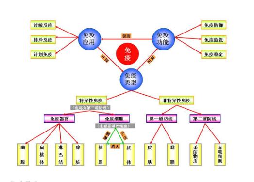 为何白癜风反复发作？你们可知白癜风难治的根本在于免疫力，那么如何提高免疫力？